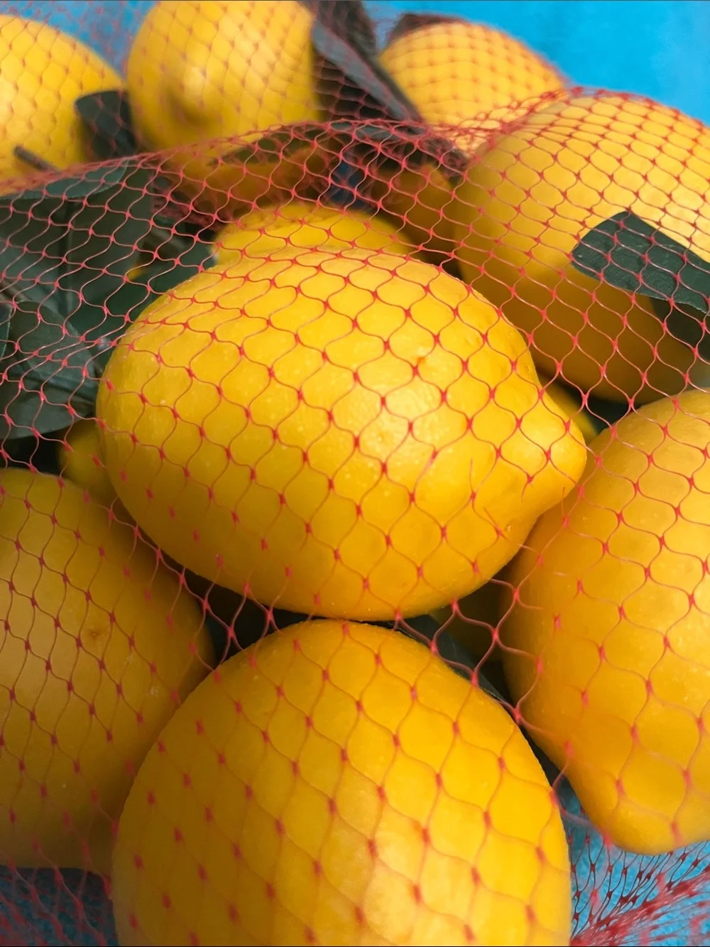 Kirklands Yellow Faux Lemons with Green Leaves in Red Mesh Bag